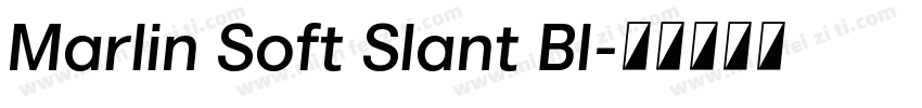 Marlin Soft Slant Bl字体转换